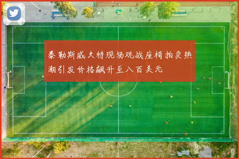 泰勒斯威夫特现场观战座椅拍卖热潮引发价格飙升至八百美元