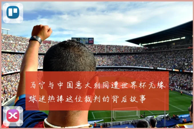 马宁与中国意大利同遭世界杯无缘球迷热捧这位裁判的背后故事